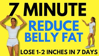 7 Minute Belly Fat Workout  7 Day Challenge  Start Today [upl. by Itsuj182]