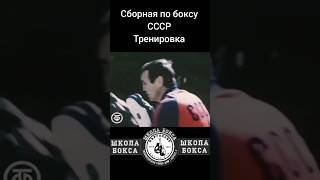 boxing бокс boxeo russianboxing boxingtrainer боксСССР boxer [upl. by Adna]