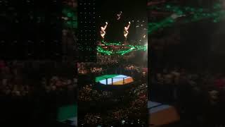 Sinead oconnor foggy dew UFC 189 Conor Mcgregor MGM Las Vegas [upl. by Clyve265]