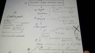 Esquema en 8 minutosEsclerosis Lateral Amiotrófica  ELA [upl. by Emirac]