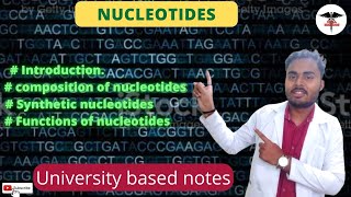 Nucleotides  Composition of nucleiotide  Structure and function of nucleiotide [upl. by Leugimsiul280]