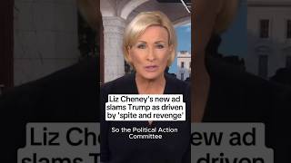 Liz Cheneys new ad slams Trump as driven by spite and revenge [upl. by Berkley293]