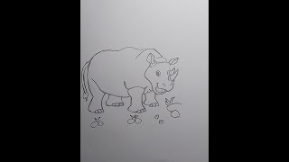 How to Draw a Rhino StepbyStep Tutorial [upl. by Gnim526]