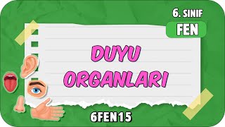 Duyu Organları 📗 tonguçCUP 4Sezon  6FEN15 2024 [upl. by Eward191]