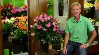 Teleflora Dove POS Demo Video [upl. by Jamin]