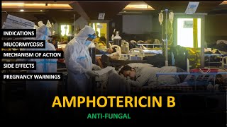 Amphotericin B  Antifungal  Black Fungus drpharma [upl. by Nikolaus]