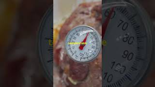 Is SousVide Safe for Your Meat Find Out Now [upl. by Fellows672]