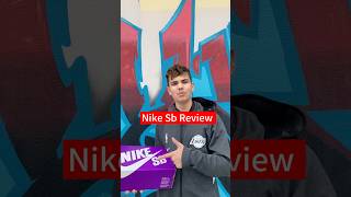 Reviewing sb low dunksSkate shoessneakersaddict nike sbdunk reviews sneakers [upl. by Yenruogis365]