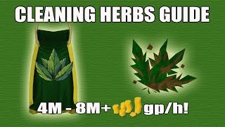 Runescape 3 Herb Cleaning Money Making Guide Guide  Herblore Skillcape Perk  4M8M gph [upl. by Lindblad]