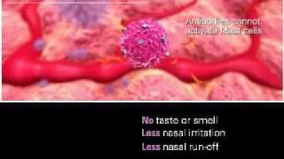 Mechanism of action for ciclesonide nasal spray [upl. by Carol-Jean]