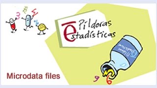 Microdata FilesINESpain [upl. by Sinnard465]