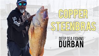 Massive Copper Steenbras Caught  Deep Sea Fishing Durban  Shivaals Birthday Present  SuperfishSA [upl. by Aicirpac]