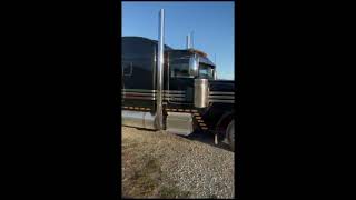 2015 PETERBILT 389 For Sale [upl. by Chaim506]