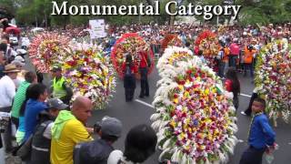 Medellin Colombia Flower Parade Desfile de Silleteros at the Feria de las Flores Flower Festival [upl. by Korns823]