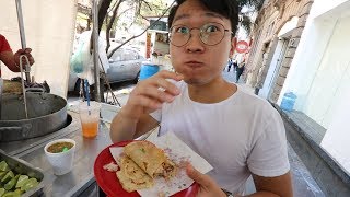 PROBANDO COMIDA CALLEJERA MEXICANA [upl. by Trilbie]