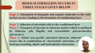 Biofilm in endodontics [upl. by Hannavas]