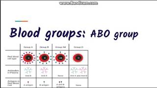 Blood grouping  ABO blood group system [upl. by Corsiglia]