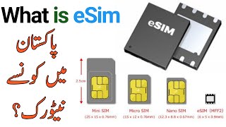 What is eSim How it works [upl. by Donella]