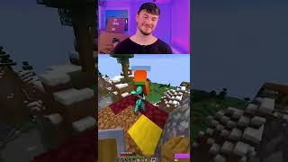 Minecraft Fails [upl. by Yacano]