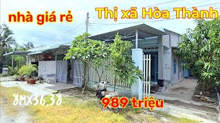 Tin được không Chủ bán căn Nhà giá rẻ 8mx36m chỉ 989 tr gần chùa trí Huệ  muabánnhàđấttâyninh [upl. by Mcnutt]