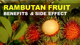 Rambutan Fruit Benefits and Side Effects Rambutan Rich in Nutrients and Antioxidants [upl. by Akcirderf]