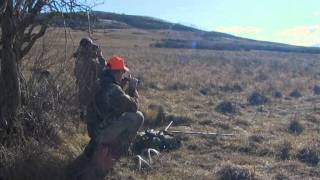 Hunting Whitetail Deer Alberta Canada Winchesters World Of Whitetails With Willow Creek Outfitters [upl. by Garth193]