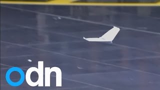 Impresive Red Bull Paper Wings world paper aeroplane championships [upl. by Issie]