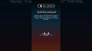 Surah Tawbah verse 127 [upl. by Coplin]