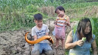 Two children went to the fields to dig for crabs and catch giant eels to sell [upl. by Angid]