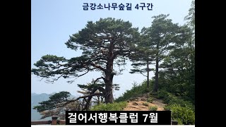 울진 금강소나무숲길4구간 [upl. by Ehcadroj620]