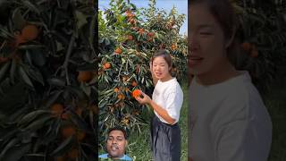 Dellicious fruit fruit cutting fire crystalfruitcutting yummygreenscreen🍓🍓🍓🍒🍒🍒🍒 [upl. by Vashti]