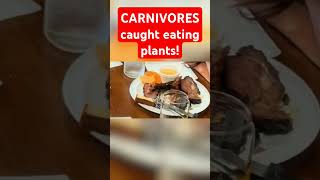 CARNIVORES caught eating plants carnivore carnivorediet ketodiet [upl. by Arnie]