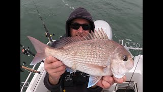 EARLY SEASON SNAPPER  WESTERN PORT  ROUGH N TOUGH  snapper snapperfishing Westernport [upl. by Drofxer4]