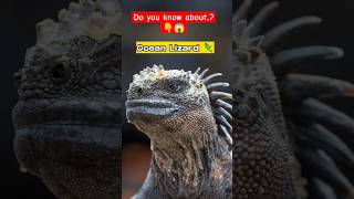 Incredible ability of Ocean Lizard 🦎 amazing sea creatures sealife [upl. by Arianna]