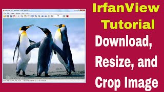 IrfanView 64 Tutorial  Download Resize and Crop Image [upl. by Mallory562]