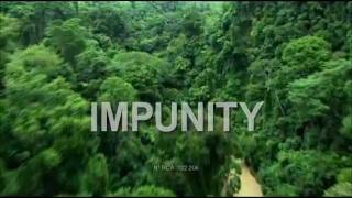 documental IMPUNITY Hollman Morris horror de los paramilitares en Colombia [upl. by Mazlack76]