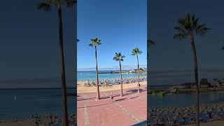 Is this the best beach in Gran Canaria Playa de Amadores in December [upl. by Cinimod155]