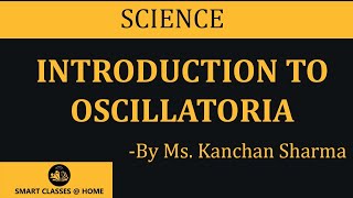 Oscillatoria  by Ms Kanchan Sharma [upl. by Downing]