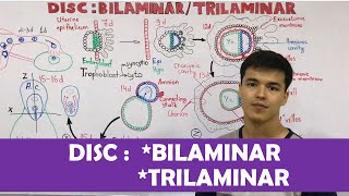 Embryology  DISC Bilaminar  Trilaminar [upl. by Noleta]