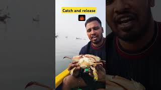 Crab with millions of eggs releasedyoutubeshortsfishing viralshortfoodseafoodindianfish [upl. by Trilby]