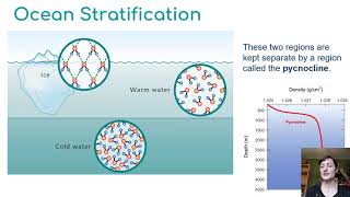 Oceans Part 1 Density amp Stratification [upl. by Ecnahs]