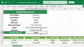 Excel Data Entry Form without UserForm [upl. by Apollo]