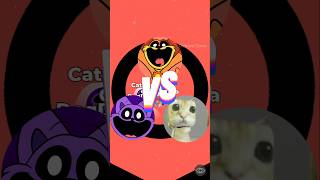 Chipi Chipi Cat😼 VS THE SMILING CRITTERS DogDay CatNap fnf remix music smilingcritters critters [upl. by Pendergast]