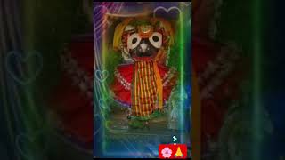 Jete jauchi mo bayasa gadiyoutubeshorts viralshort jay jagannath swami🌸🌸🙏 [upl. by Fredia]