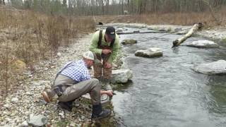 Awesome Trout Fishing at Hatchery Creek [upl. by Adnilahs108]