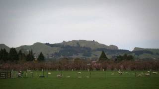 Te Mata Peak Hawkes Bay giant  Roadside Stories [upl. by Uhn]