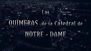 Historia del Arte 20  Iconografía  Gárgolas de Notre Dame [upl. by Giordano]