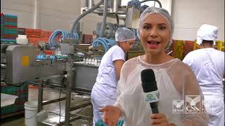 Produtores do Amazonas investem na avicultura de postura [upl. by Varney]