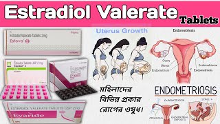 Estradiol Valerate Tablets Uses in Bengali  Progynova Tablets Evadiol Tablets  Estrabat Tab [upl. by Krall]