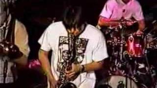 Skankin Pickle  Live 19950413  Part 3 [upl. by Adnar]